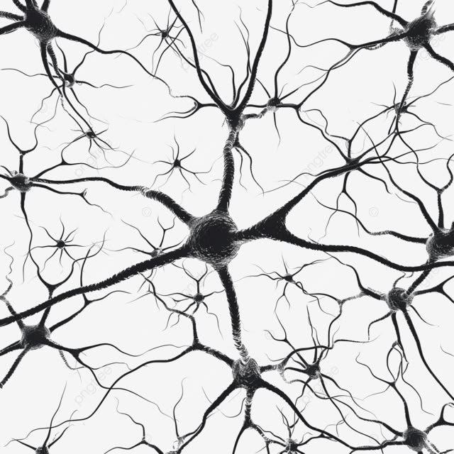 5 Ways Deep Sleep Supercharges Your Testosterone