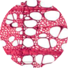 Montmorency Tart Cherry