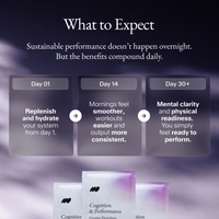 Cognition & Performance (prev. Rise)