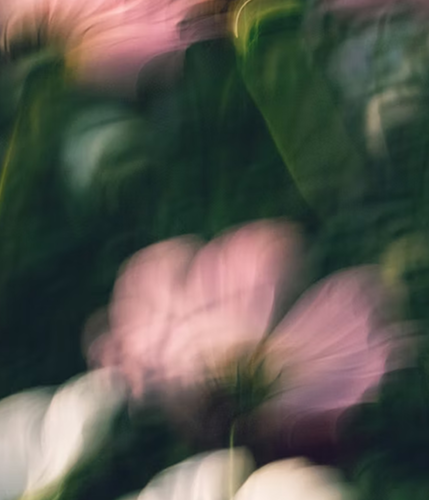 Optimizing health: the link between nutrition and sleep