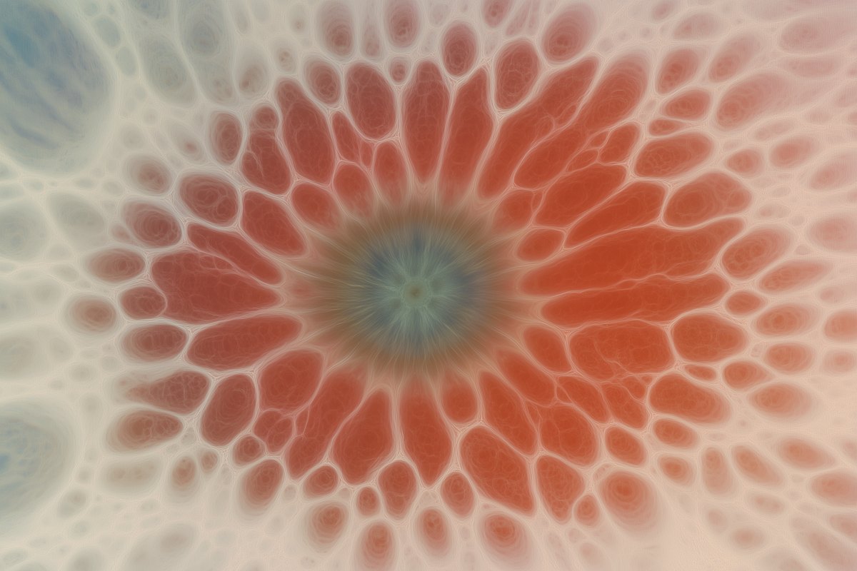 Orange radial cellular texture
