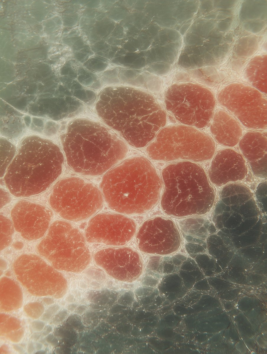 Red and green cellular texture